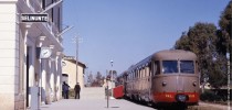 8 MARZO 2015: IN LITTORINA FINO A CASTELVETRANO E…..SELINUNTE!