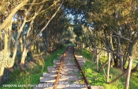 Vedi album Il ponte sul fiume Belice - gennaio 2010 - di Pietro Fattori