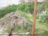 Vedi album La ferrovia tra Sciacca e Capo San Marco - gennaio 2010 - foto di Pietro Fattori