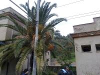 Vedi album Insediamento di Ferrovie Kaos alla stazione di Porto Empedocle - febbraio 2010 - foto di Marco Morreale