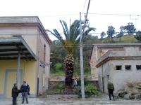 Vedi album Insediamento di Ferrovie Kaos alla stazione di Porto Empedocle - febbraio 2010 - foto di Marco Morreale