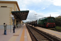 Treno dell' olio 2013